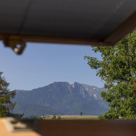 Apartamenty U Anusia Zakopane Exterior photo